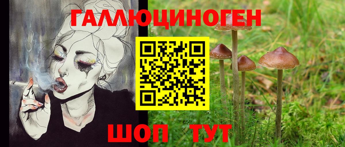 Якутск  Галлюциногенные грибы ЛСД  закладка  Вход с VPN 