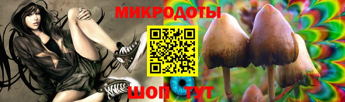 Галлюциногенные грибы Psilocybine cubensis Якутск